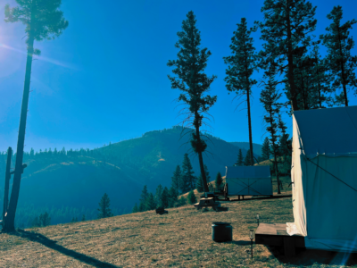 Montana cabin