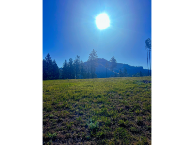 Montana cabin